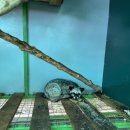 케이비농장 이미지