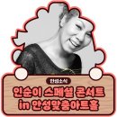 인순이 스페셜 콘서트 이미지