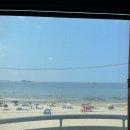 오즈 | [고성여행] OZ오즈펜션｜자작도 해수욕장 오션뷰 가성비갑! (애견동반펜션)