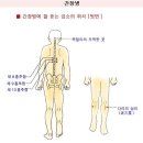 건강에 좋은 혈자리(정력강화혈-어께결림-좌골신경통-오십견-견갑골-간장병-고혈압) 이미지