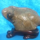 황금개구리 이미지