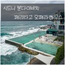 피시랑 놀자 | 시드니 여행 4일차｜본다이비치부터 페리까지, 완벽했던 맑은 하루