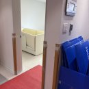 스테이 후 | 스테이박스 보관이사 비추일까? 솔직 2차 후기