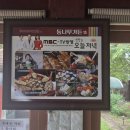등나무1,2,3.길 | 강화찐맛집 찐 해신탕 강화도 루지 맛집 오션뷰 등나무가든