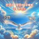 본명과 예명이 나에게 준 선물들 개명후기 예명후기(예명추천)
