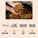 델로 커피컴퍼니 이미지