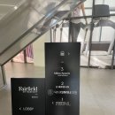 성진과일야채 | 훠궈맛집 하이디라오 영등포점 솔직방문 후기 ⭐연예인소스레시피까지⭐