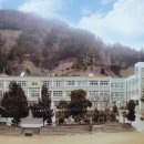 울릉초등학교장흥분교장 네이버블로그