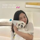 햇님 이미지