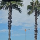 찐빵목장 이미지