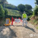 토종닭농장 이미지