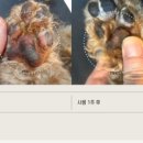 다나헬스케어 이미지