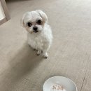 나두맘마 이미지