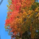 (주)우루루 | 가을 단풍놀이 추천::도봉산 천축사 템플스테이 예약방법 준비물 식사 숙소 후기