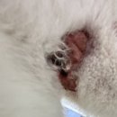 허그미동물병원 이미지