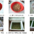 새싹녹즙 이미지