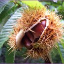 적성지물포 이미지