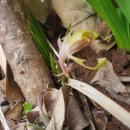 르노삼성평화점 이미지