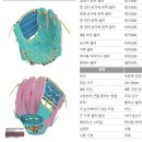 히스이랑 핑크 컬러로 시뮬 돌려봤습니다! 이미지