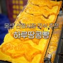 간식파는남자 | 울산 신정시장 맛집 하루땅콩빵 신정동 붕어빵 파는 곳 장날 주차 먹거리 간식 추천