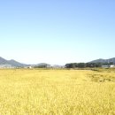 농부사랑 이미지