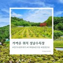 중원목장 | 정확한 정보로 성남수목장 확인해보세요