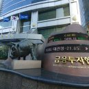 넷베이션밸류