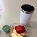 [호주 일상] 외노자의 출퇴근 일상 (feat. 호주 간호사)
