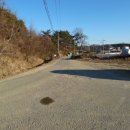 거목농장 이미지