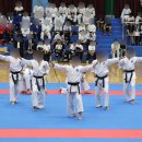 대명태권도체육관 이미지