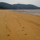 서포리해변2 이미지