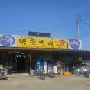 강남스타일약초백숙 이미지