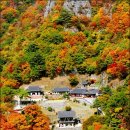 가을공인중개사사무소 이미지