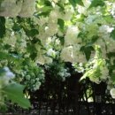 곰바위 앞 이미지