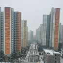 허산등산로2 이미지