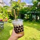 (국비) 퓨전브런치 카페요리(2) | 방콕 통로(Thonglor)카페 Best5 : 정원, 브런치, 감성 모두 잡은 힙플 가이드