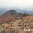 아도전기 이미지