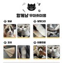 함께냥 앤 함께냥품 북수원점 네이버블로그