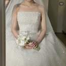 케이피드 | W7. 대구 웨딩드레스 투어 | 지니케이 | 마리스포사 | 로렌스뉴욕 견적 비교 및 혜택 후기