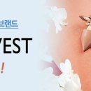 [이벤트] 몰리 경유 시, NINE WEST 한국 무료배송! 이미지