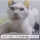 포도사진관