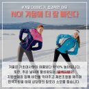 샐러디제주