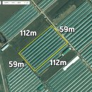 성주부동산중개 이미지