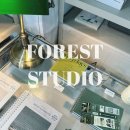 포레스트 스튜디오 (FOREST STUDIO)