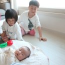열매열무2 이미지