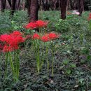 동의보감해독한의원 이미지