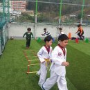 용당 타이거즈 태권도 이미지