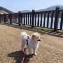 백운호수 주차장 이미지