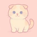 고양이분양 온리캣 이미지