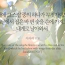 스랍(seraphs) 네이버블로그